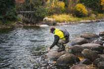 Vista lateral de la pesca con mosca humana en el río Roaring Fork durante el otoño - foto de stock