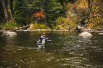 Mujer pesca con mosca en el río Roaring Fork en el bosque durante el otoño - foto de stock
