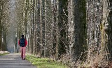 Woman walking along alley in tghe Netherlands — Stock Photo