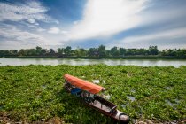 Традиционная тайская длинная хвостовая лодка посреди водного гиацинта — стоковое фото