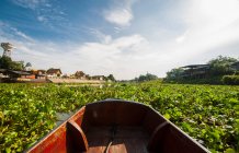 Un barco tradicional tailandés de cola larga en medio del jacinto de agua - foto de stock