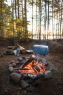 Campamento de cocina en el bosque - foto de stock