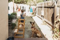 Joven niño y cachorro jugando afuera en el patio juntos - foto de stock