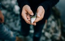 Young boy holding his first fish catch whilst fishing with family — Stock Photo