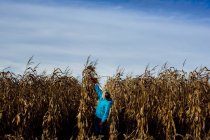 Mädchen auf einem Maisfeld an einem bewölkten Tag. — Stockfoto