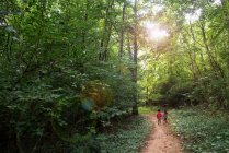 Дети прогуливаются по лесу — стоковое фото