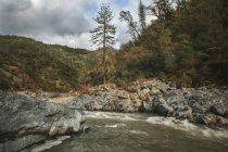 Река и скалы в горах Алтая. — стоковое фото
