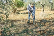 Фермер працює зі своїм грабежем, щоб очистити свою землю — стокове фото
