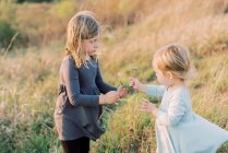 Two sisters picking flowers together during an evening walk — Stock Photo