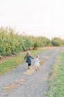 Zwei kleine Schwestern laufen einen Pfad in einem Apfelgarten hinunter — Stockfoto