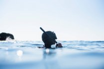 Snorkeling in una giornata di sole nel New England — Foto stock
