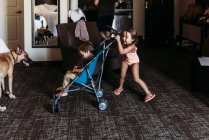 Молоді брати і сестри грають у колясці в готельному номері в Палм - Спрінгс. — стокове фото