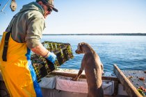 Pesca della conchiglia in acquacoltura una mattina presto nella baia di Narragansett nel Rhode Island — Foto stock