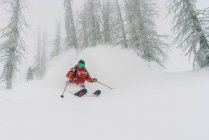 Esquiador en polvo en Wolf Creek - foto de stock