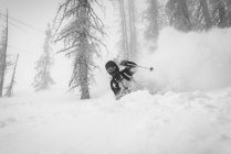 Esquiador en polvo en Wolf Creek - foto de stock