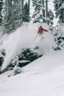 Skier In Powder at Wolf Creek — Stock Photo