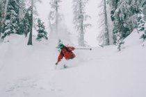Skier ski poudre à travers les arbres dans le Colorado — Photo de stock