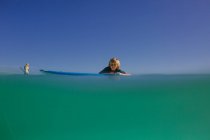 Paddleboard irmãos em águas turquesa do Havaí — Fotografia de Stock