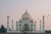 Taj Mahal bei Sonnenuntergang, während Vögel herumfliegen, von Mehtab Bagh aus gesehen, Agra — Stockfoto