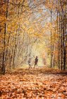 Dois meninos brincam lutando com paus na trilha coberta de folhas no outono. — Fotografia de Stock