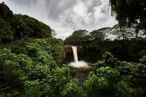 Красивий водоспад у лісі — стокове фото