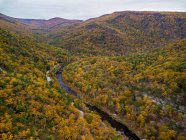 Вид с воздуха, река в горах осенью — стоковое фото