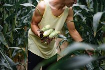 Man in a hat in a corn field. man picks up corn. — Stock Photo
