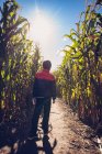 Kleiner Junge läuft an einem sonnigen Herbsttag durch ein Maislabyrinth. — Stockfoto