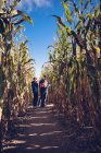 Père et enfants marchant ensemble dans le labyrinthe de maïs par une journée ensoleillée. — Photo de stock