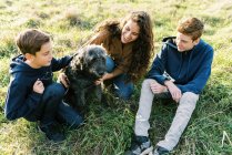 Trois enfants jouent avec leur chien de famille dans un champ — Photo de stock