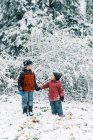 Little kids experiencing a snowfall in October in New England — Stock Photo