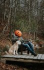 Чоловік у страшній гарбузовій голові на Хелловін сидить на причалі з собакою . — стокове фото