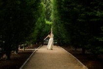 Задний вид женщины, танцующей босиком по дорожке на деревьях в золотом свете — стоковое фото