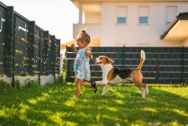 Bebé corriendo con perro beagle en el patio trasero en el día de verano. Animal doméstico con concepto de niños. - foto de stock