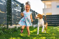 Дитяча дівчинка біжить з бігль собакою на задньому дворі в літній день. Домашня тварина з дитячою концепцією . — стокове фото