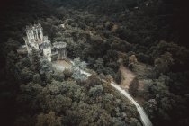 Vista aérea, Castelo de Butrn, País Basco, edifício medieval, ameias — Fotografia de Stock