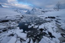 Ice filled bay with distant mountains at Flakstadpollen,  Lofoten Islands, Noway — Fotografia de Stock