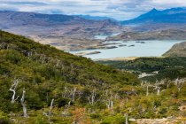 Parque Nacional Torres del Paine en el sur de la Patagonia chilena - foto de stock