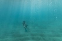 Свободный дайвер-женщина уплывает в океан Оаху, Гавайи — стоковое фото