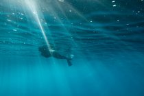 Las hembras bucean a través de rayas de luz en la superficie del océano Oahu - foto de stock