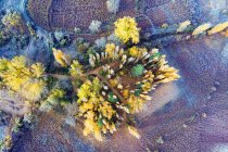Іспанія, Куенка, вирощування вікерів у Канамарі восени — стокове фото