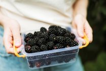 Cropped image of woman harvesting blackberries from plants at farm — Stock Photo