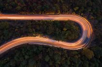 Vista aérea da estrada na floresta no fundo da natureza — Fotografia de Stock