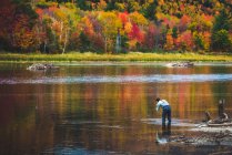 Mosca pescador lançando no rio com folhagem brilhante atrás — Fotografia de Stock