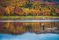 Mosca pescador lançando no rio com folhagem brilhante atrás — Fotografia de Stock