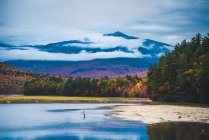 Fly fisherman casting into river with mountain and bright foliage — Stock Photo