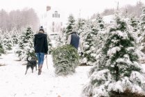 Young woman, young man and their dog  with Christmas tree  farm — Stock Photo