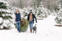 Young woman, young man and their dog with Christmas tree  farm — Stock Photo
