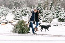Jovem mulher, jovem e seu cão com fazenda árvore de Natal — Fotografia de Stock