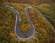 Aerial view of highway road in autumn forest — Stock Photo